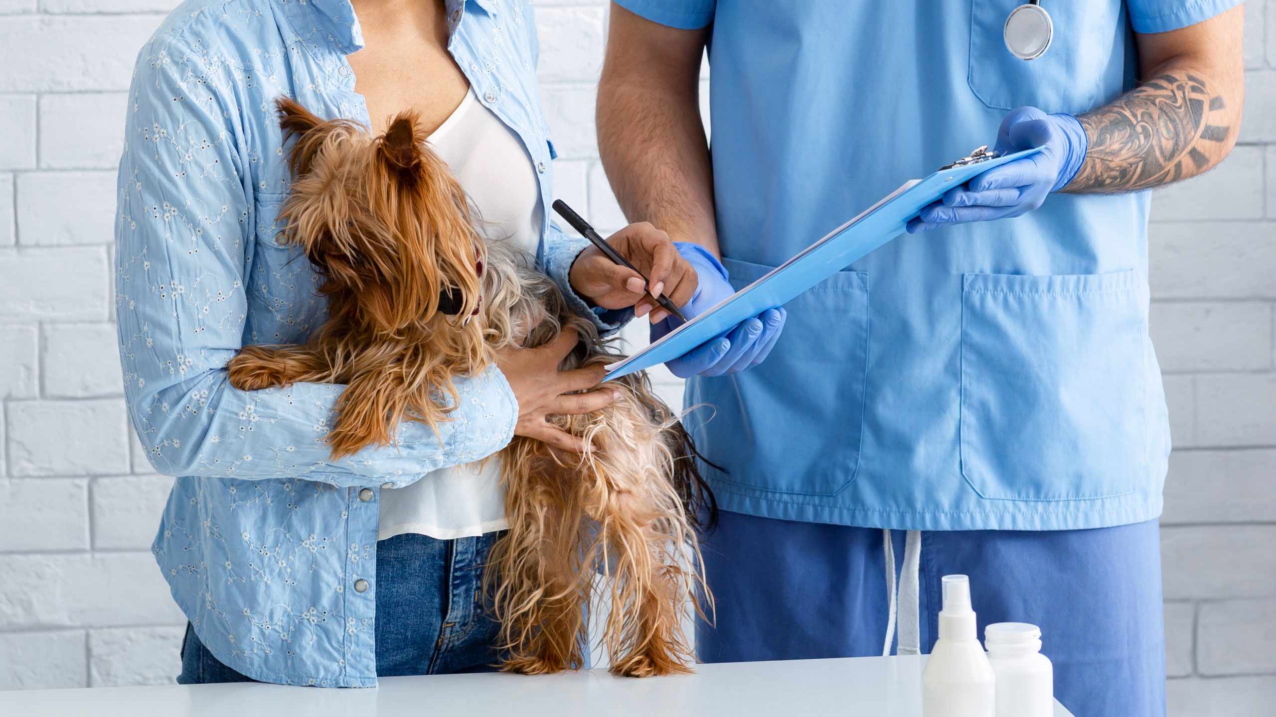 Hundeversicherung,Hund,Hunde-OP Versicherung,Hundehaftpflichtversicherung,Hundekrankenversicherung, Hundeversicherung
